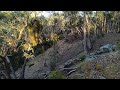 Camping and prospecting in the Castlemaine diggings #australia #gold #prospecting #camping