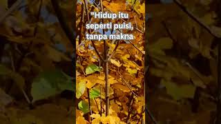 Namo Buddhaya Renungan Siang