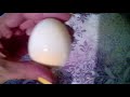 как правильно чистить яйца ложкой