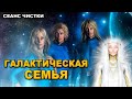 Чистка и встреча с ГАЛАКТИЧЕСКОЙ семьей.