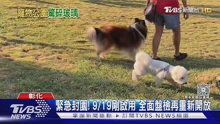 寵物公園埋「陶瓷玻璃碎片」 毛小孩奔跑受傷｜TVBS新聞 @TVBSNEWS01