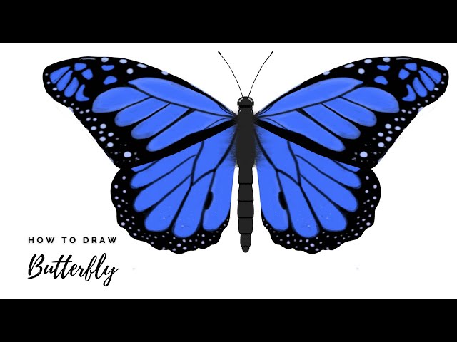 Butterfly Sketchbook and Drawing Set – Make It Real