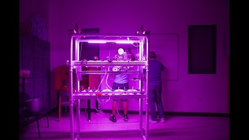 WE BUILT AN AUTOMATED HYDROPONIC SYSTEM - NASA MINDS 2023