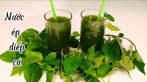 Nước ép rau diếp cá _ Hướng dẫn làm nước ép rau diếp cá, thơm ngon thanh mát,giải nhiệt ngày hè