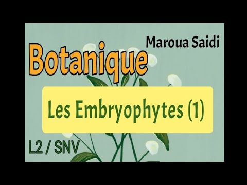 Botanique/Tom2: les Embryophytes/ partie 1