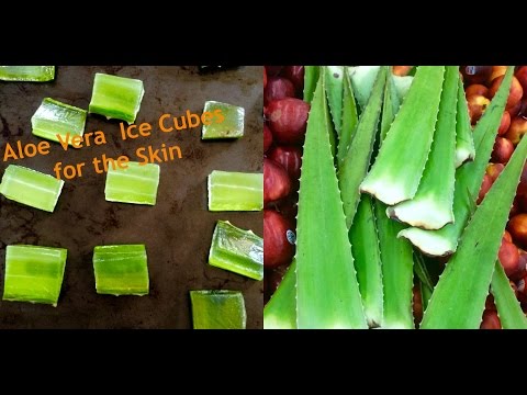 chogan aloe vera Aloe Vera Duschgel main image 0