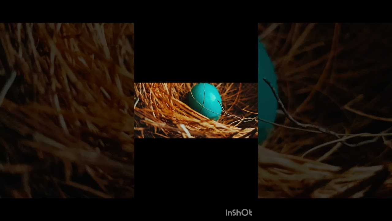 😱I found some mysterious egg 🥚😱