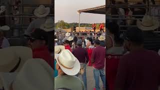 JARIPEO Hillsboro Oregon