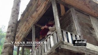 YAŞAR BİLDİREN - KARADANİZ GÜLÜ -  Resimi