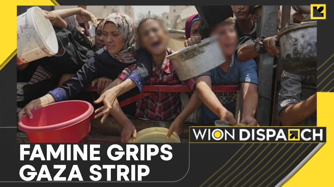 Israel-Gaza War: First Declaration of Famine in West Asia | WION Dispatch