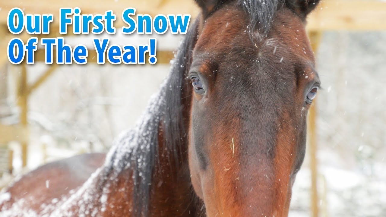 Just Have To Show Off Our First Snow Of The Year! - YouTube