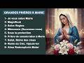 Chants Et Prières Mariales Méditatives Recueil De Grandes Prières à Marie mp3