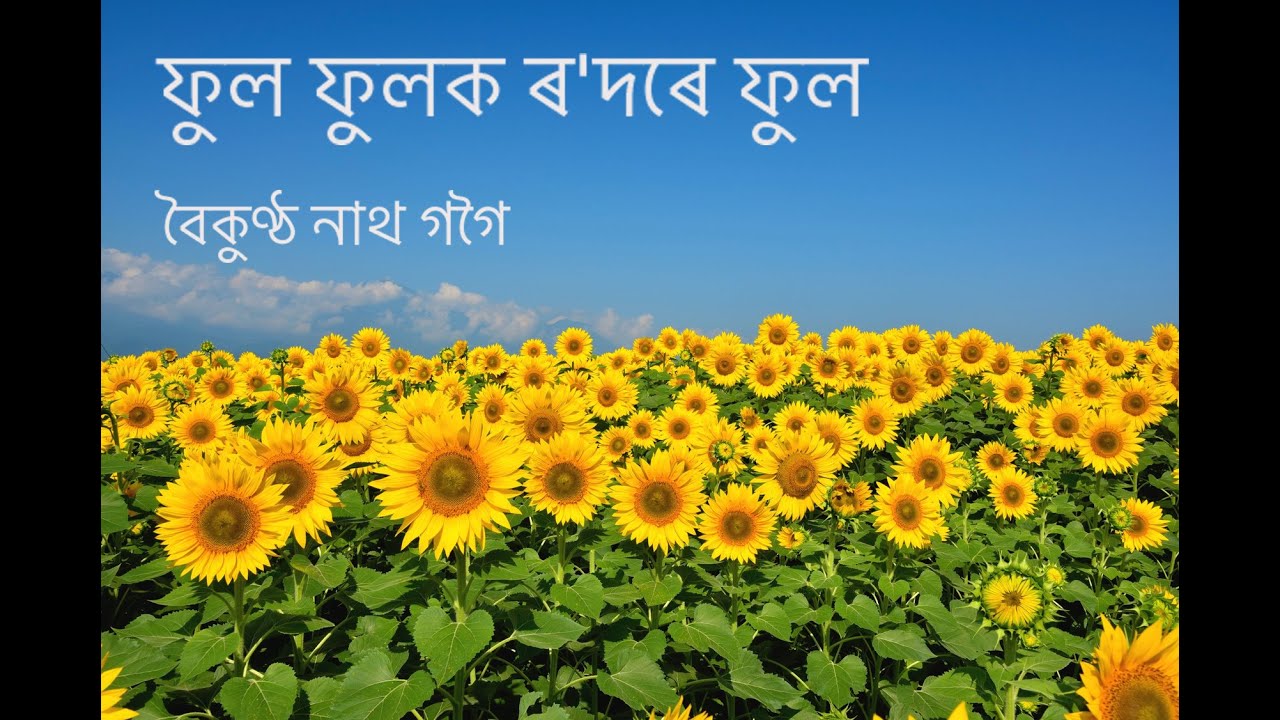      Phool Phulok Rodore Phool  Baikuntha Gogoi