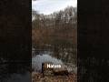 Go for a walk in state [Hessen] #lake #woodworking #nature