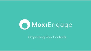 Organizing Your Contacts in MoxiEngage