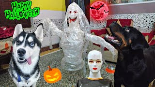 HALLOWEEN PRANK ON MY .HUSKY ROTTWEILER || DOG CAN TALK PART 73  REVIEW RELOADED GHOSTBUSTERS Dog