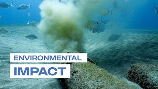 HOW │ Saudi Arabia Plans to Solve the Brine Challenge for the World’s Largest Artificial River
