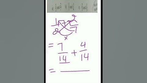 Grade 4: Exercise 6.7 full