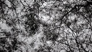 Bahagialah Kita - Jendela Kayu (Cinematic Video)