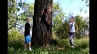 Apbt Carcharodons Billy - Training Of High Jump And Tree Climbing