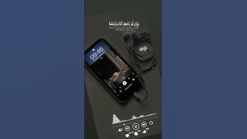 القرآن الكريم #آيات #تلاوة_خاشعة #الرحمن #المصحف #CapCut #اكسبلور