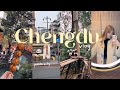 China vlog  chengdu giant pandas street food kuanzhai alley and peoples park