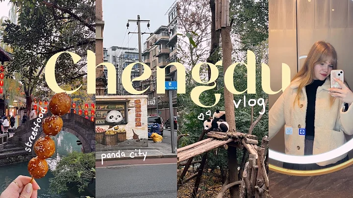 china vlog 🐉 chengdu: giant pandas, street food, kuanzhai alley and people's park - DayDayNews