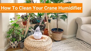 How To Clean Your Crane Humidifier