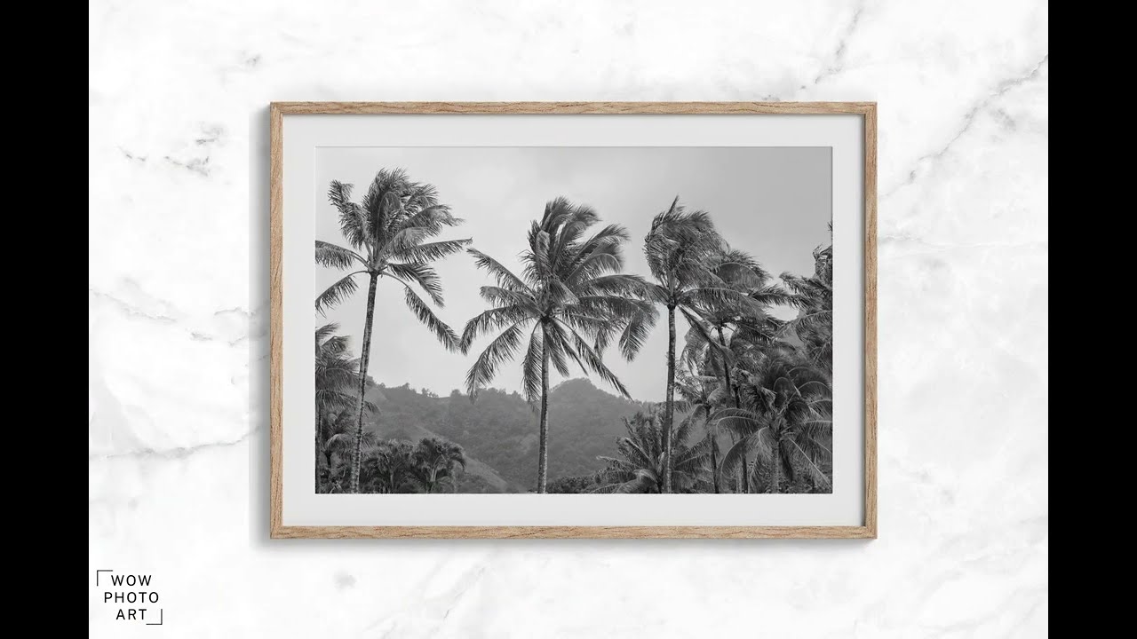 Black and White Tropical Beach Fine Art Photography Print - Large Hawaii Palm Tree Beach Wall Art