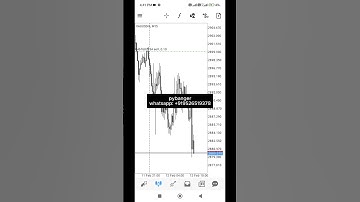PyBanger Bot Performance Update