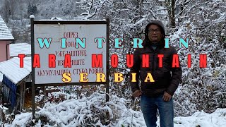 WINTER IN TARA MOUNTAIN SERBIA