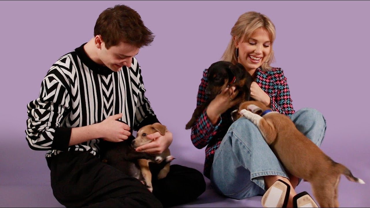 『ストレンジャー・シングス』のキャストが子犬たちに囲まれながらファンの質問に答えます！ The Cast of Stranger Things Plays With Puppies