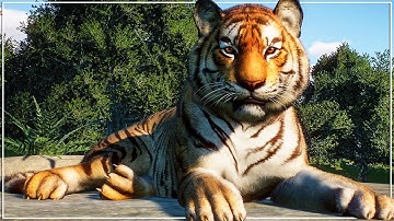 Building a HUGE Tropical Zoo in Planet Zoo Franchise Mode  (Part 2)