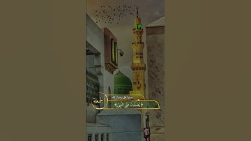 " إن الله وملائكته يصلون على النبي "تلاوة بصوت جميل أنس آوات | حالات واتس قرآن كريم |Quran Kareem