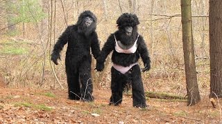 WORLD'S MOST SHOCKING BIGFOOT VIDEOS - 7 WORLD'S MOST SHOCKING BIGFOOT VIDEOS - 7