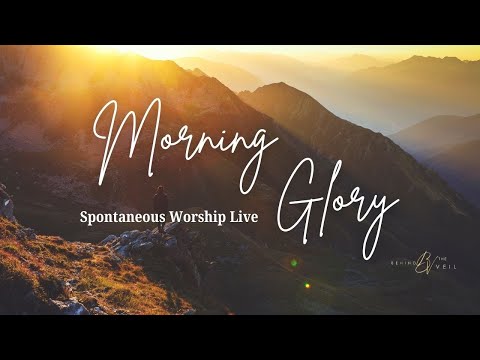 Morning Glory |