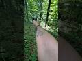 Glock 19X Gen 5 POV Shooting In The Woods #legallydangerous #2agun