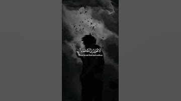 مواساة ربانية 🥺💞 || لا تحزن إن الله معنا || القارئ عبد الرحمن مسعد