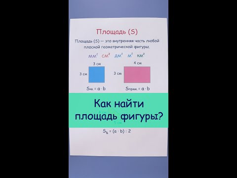 Что такое площадь? Как найти площадь?