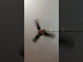 Current nei 😂🤣 #shorts #comedy #funny #foryou #trending #ytshorts #subscribe