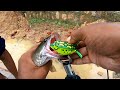 amazing Snakehead fishing with balloon frog #kaalfisher