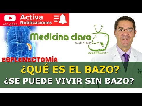 ¿Se puede vivir sin el bazo?.  Esplenectomía. Quitar el bazo | Medicina Clara