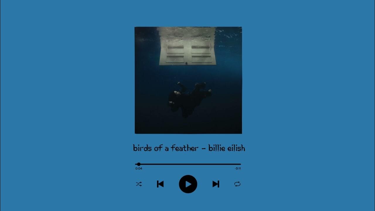 Billie Eilish - BIRDS OF A FEATHER / 1 Hour Loop Billie Eilish - BIRDS OF A FEATHER / 1 Hour Loop