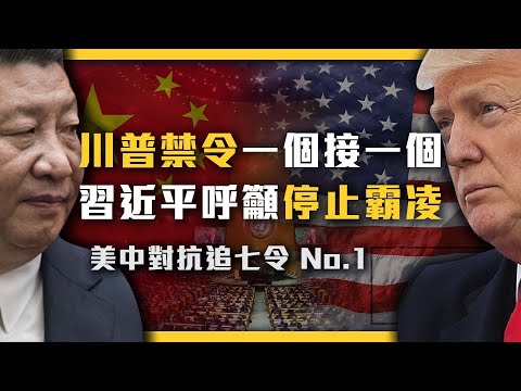 WeChat禁令大逆轉？川習兩人在聯合國互嗆！共機不斷飛飛飛！《美中對抗追七令》EP 001｜志祺七七