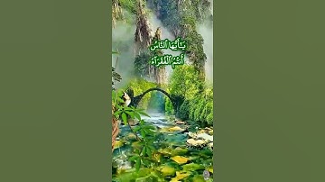 #عبدالباسط_عبدالصمد سورة #فاطر يا ايها الناس أنتم الفقراء إلى الله #abdulsamad