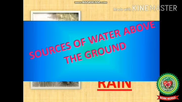 We All Need Water |(part-2) |Class 1 |Science| Holy Heart Schools