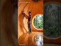 Evan Etha achi cut panni home make pannitu forest la alive panna pora #shorts