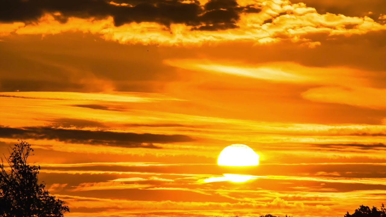 Morning Sunrise Sounds