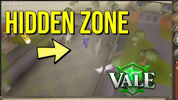 Did I Just Discover the HIDDEN Zone in This RSPS? Vale RSPS