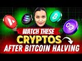 5 cryptos to watch after bitcoin halving  top 5 altcoins to buy now  crypto  cryptolanes